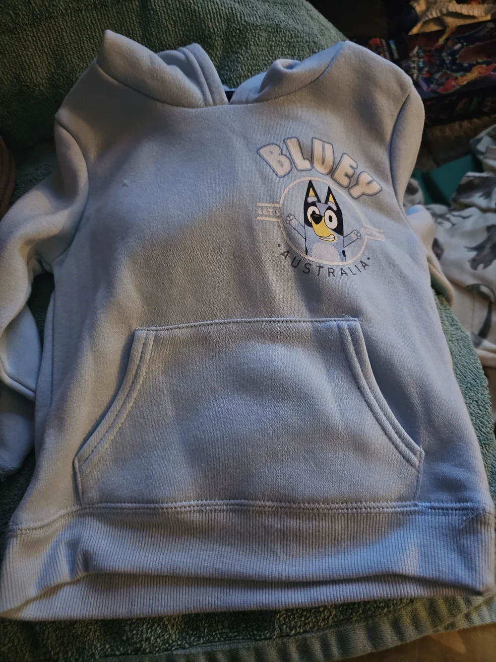 Kids Light Blue Hoodie Sweatshirt - Blue